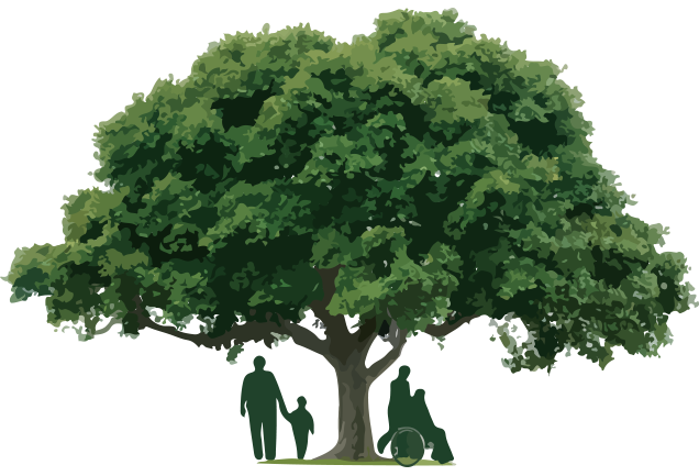 天堂树 - 心灵治愈